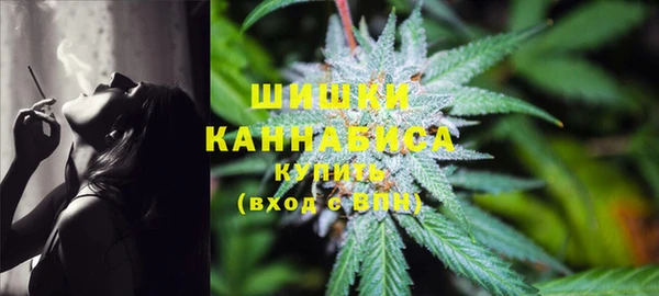 Альфа ПВП Карталы