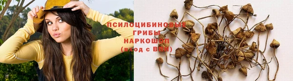 прущие крисы Касимов
