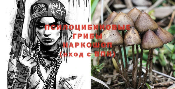 мдпв Козельск