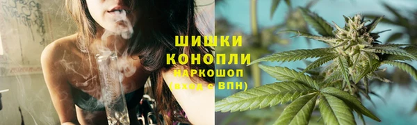 ПСИЛОЦИБИНОВЫЕ ГРИБЫ Киреевск