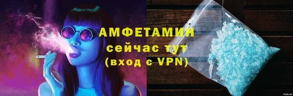 крисы Дубна