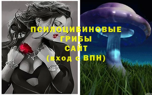 прущая мука Кодинск