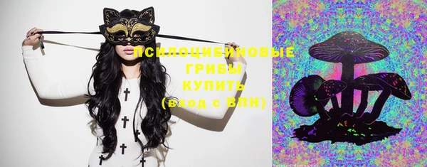 мдпв Козельск