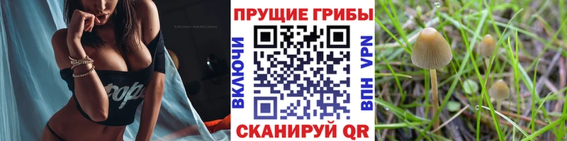 даркнет сайт Кондрово Галлюциногенные грибы ЛСД